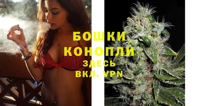 Шишки марихуана SATIVA & INDICA  Венёв 